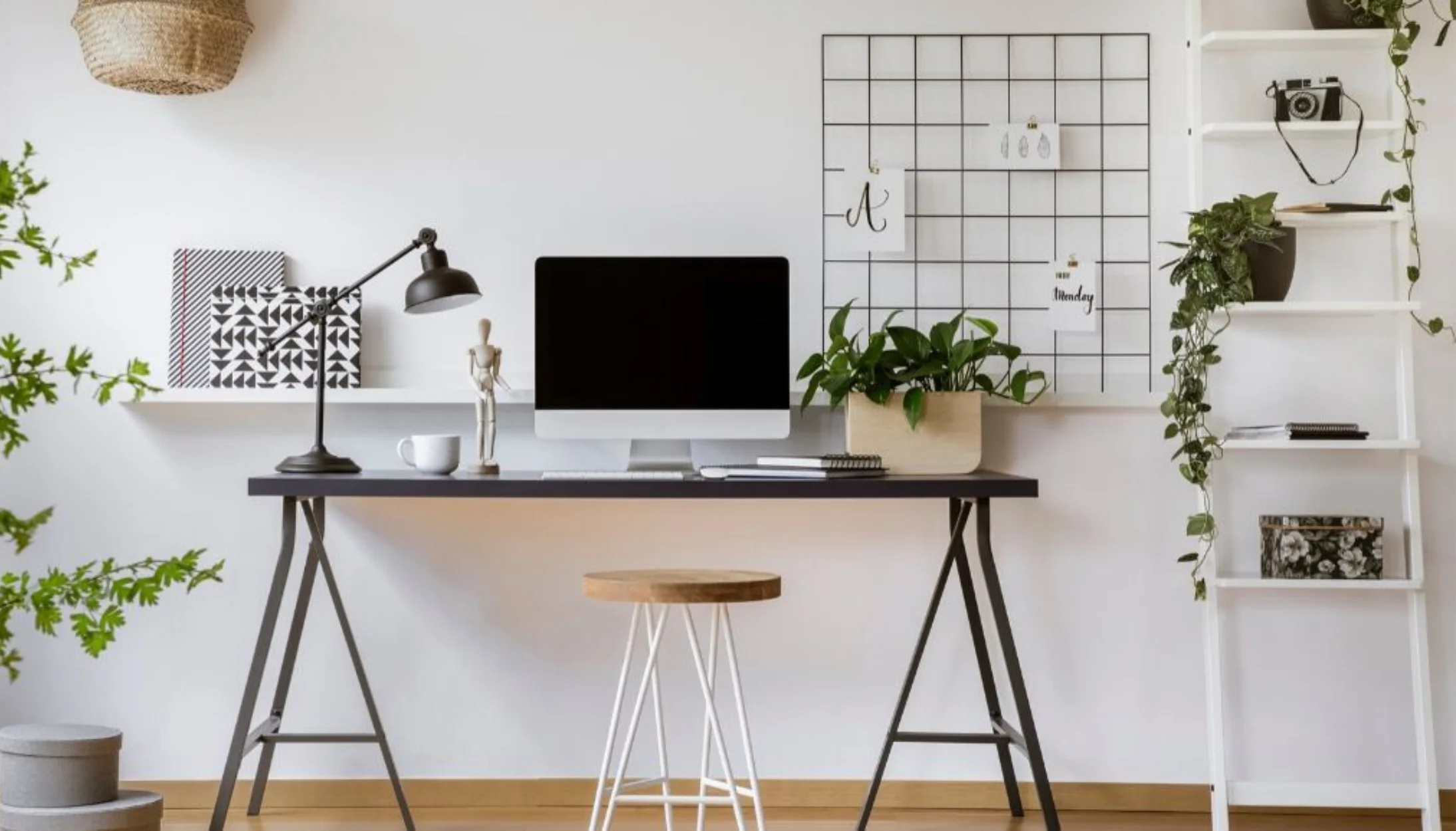 10 Essential Remote Work Ergonomic Upgrades Worth Every Dollar